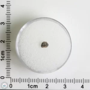 Grapevine Mesa Meteorite 0.07g