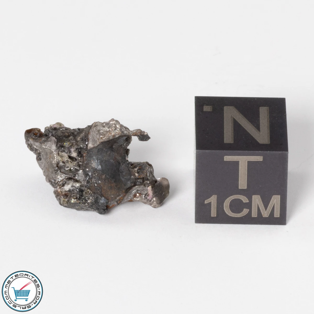 Sericho Pallasite Individual 2.32g Fragment